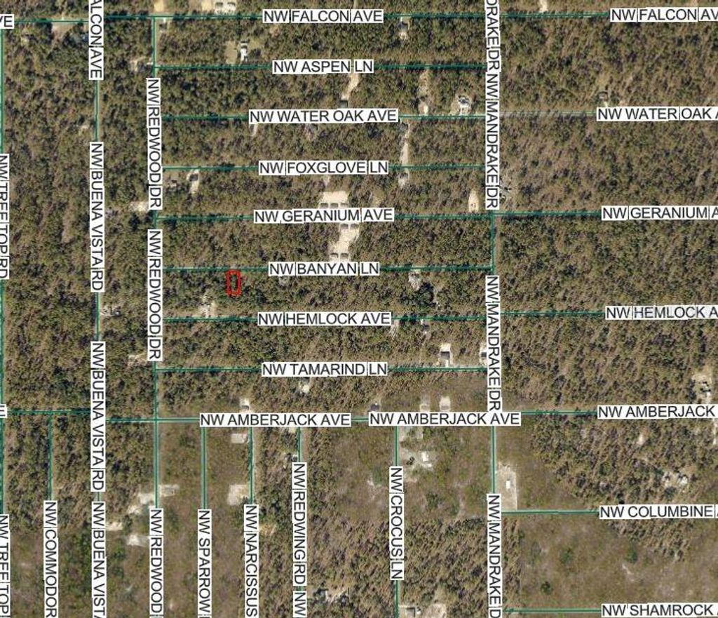 Photo of NW Banyan Ln, Dunnellon, FL 34431 (MLS # OM717058)