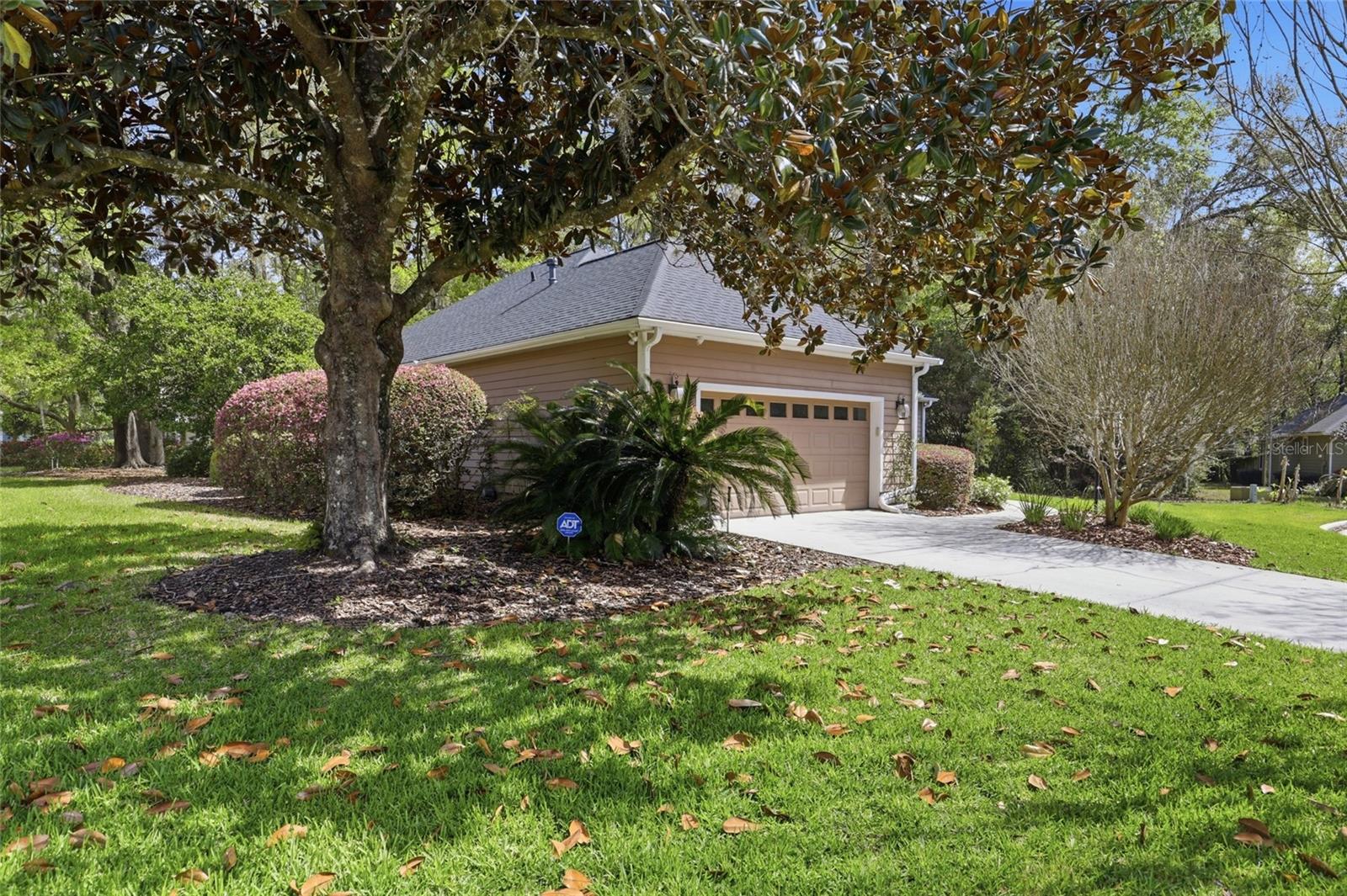 CHELSEA LANE - Residential