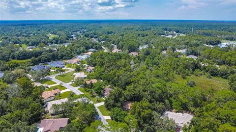 A home in HOMOSASSA