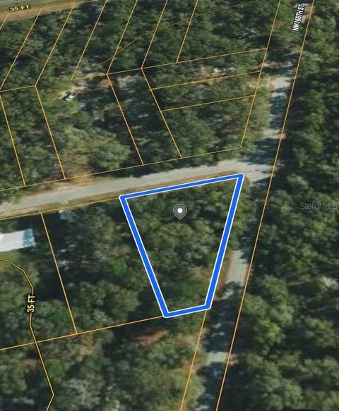 Photo of NW 165th Street, Trenton, FL 32693 (MLS # O6372686)
