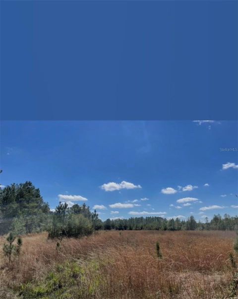 Photo of NE 124th Ter, Fort Mccoy, FL 32134 (MLS # OM724082)