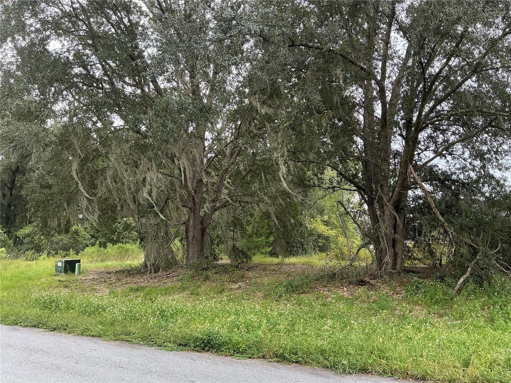 Photo of 169th Street, Ocala, FL 34473 (MLS # OM734317)