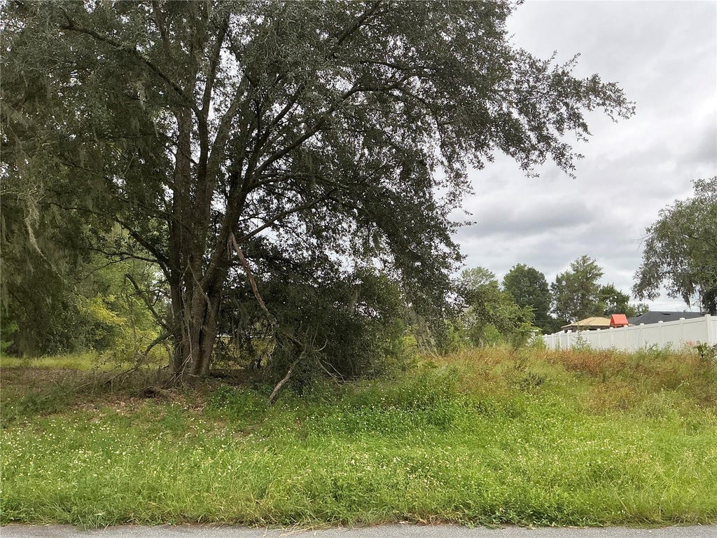 Photo of 169th Street, Ocala, FL 34473 (MLS # OM734317)