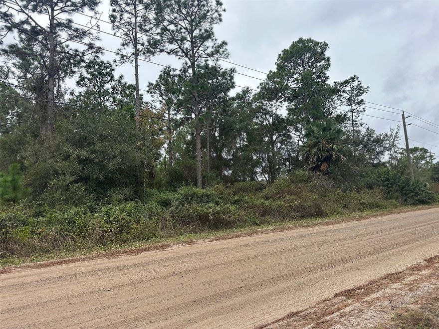 Discover the perfect canvas for your dream home on this stunning 5-acre buildable parcel in the heart of Geneva, FL. Surrounded by the natural beauty and tranquility that define this sought-after rural community, this high-and-dry property offers the ideal blend of privacy, space, and convenience.

With plenty of room for a custom home, workshop, barn, animals, or recreational toys, the possibilities are endless. Towering trees, open skies, and a peaceful setting create a backdrop that feels worlds away—yet you’re just minutes from SR-46, top-rated Seminole County schools, grocery stores, dining, and easy access to the 417 and 95.

Whether you're looking to build a country estate, create a family compound, or invest in land with remarkable potential, this parcel checks every box. No HOA, plenty of usable land, and the freedom to design your lifestyle your way.

Come explore this rare opportunity—your future homestead awaits in beautiful Geneva.