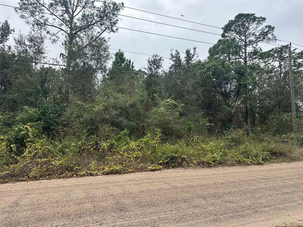 Photo of Settlers Loop, Geneva, FL 32732 (MLS # O6364363)