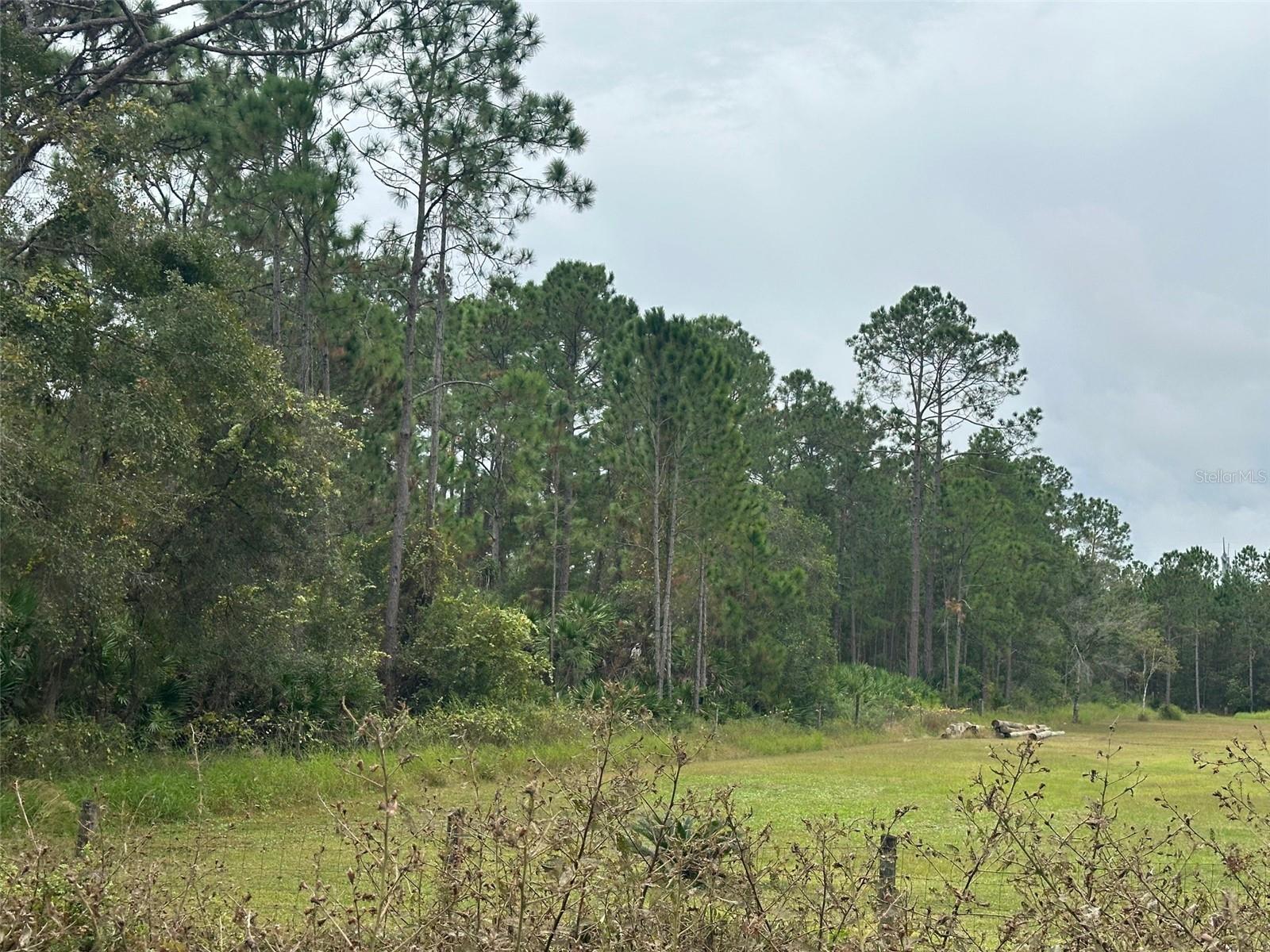 LAKE HARNEY ESTATES 5 ACRE DEV 256 PARCELS - Land