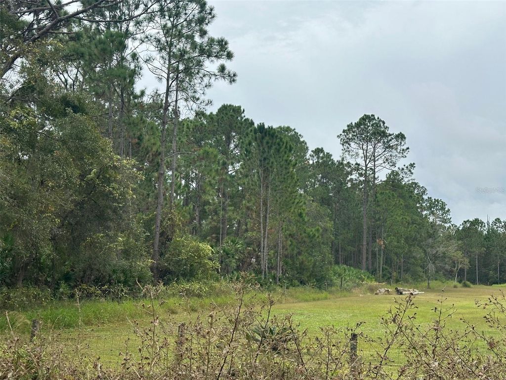 Photo of Settlers Loop, Geneva, FL 32732 (MLS # O6364363)