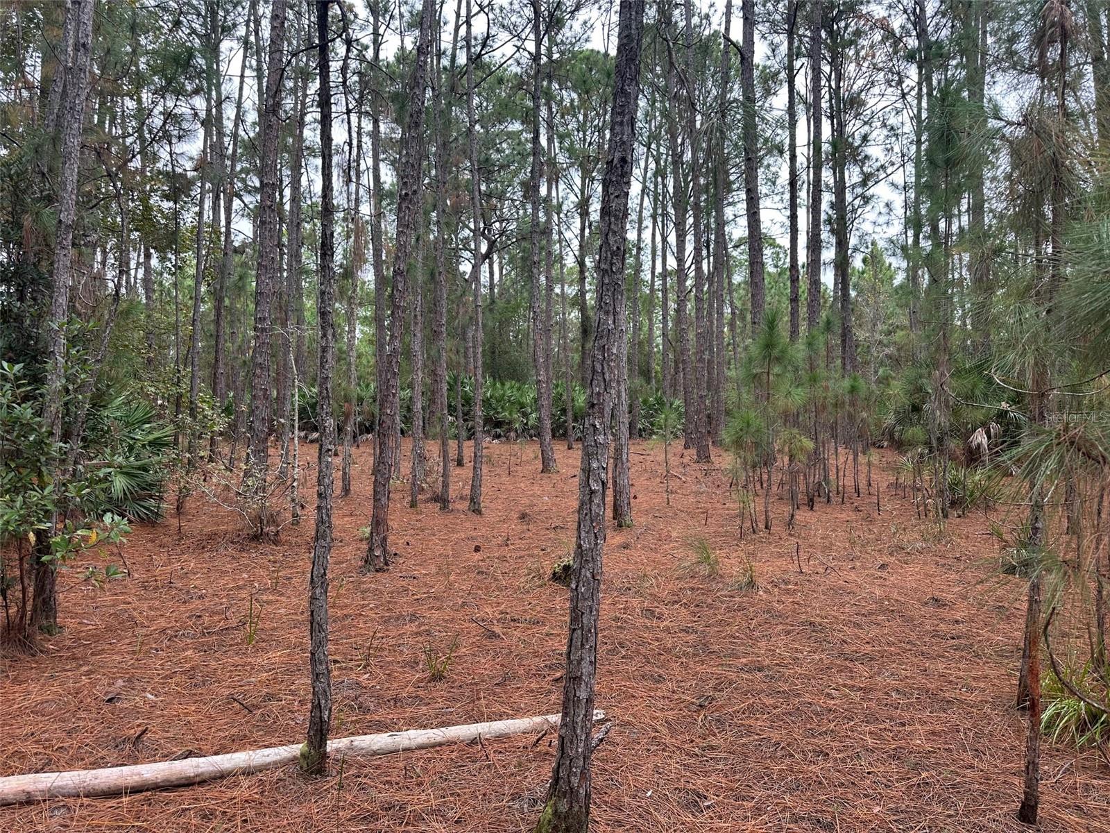 LAKE HARNEY ESTATES 5 ACRE DEV 256 PARCELS - Land