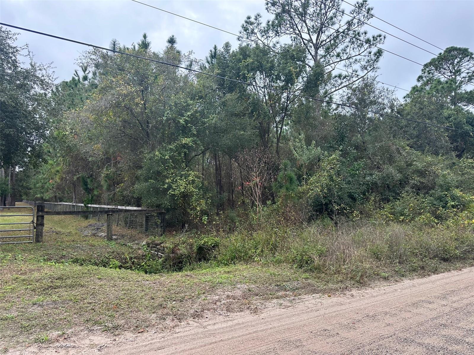 LAKE HARNEY ESTATES 5 ACRE DEV 256 PARCELS - Land