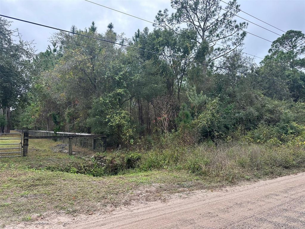 Photo of Settlers Loop, Geneva, FL 32732 (MLS # O6364363)