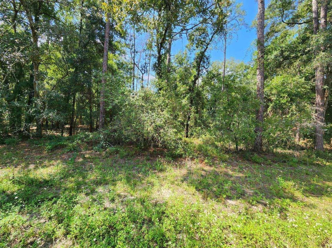 Discover the perfect opportunity to build your dream home on this spacious vacant land, located outside of any flood zones, ensuring peace of mind for years to come. This beautiful property offers endless potential with ample space to design your ideal living space. Schedule a visit today and start planning your future!