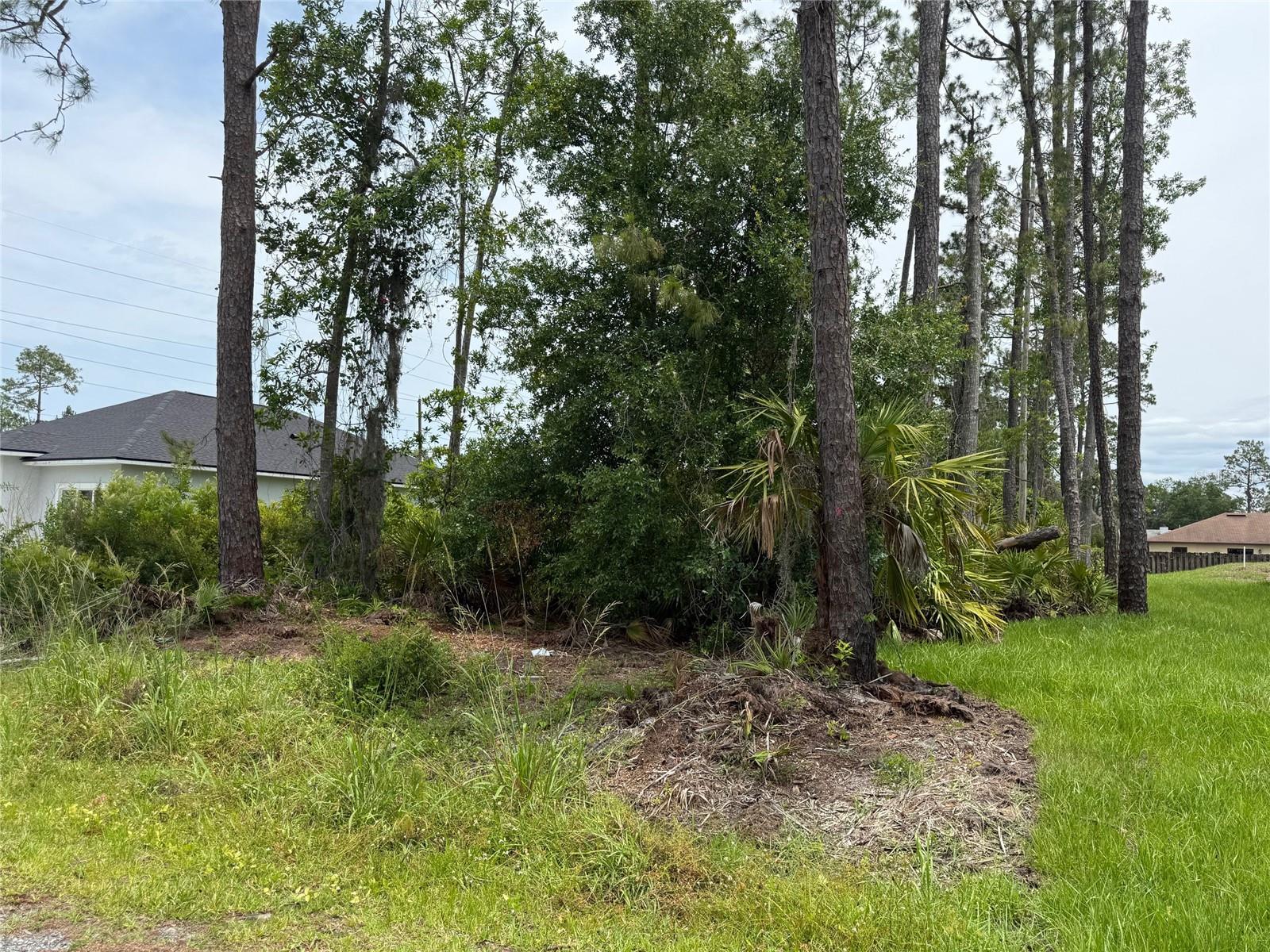Vacant wooded lot located in Daytona Park Estates. No Homeowner's Association. Minutes to downtown, Stetson University, shopping, centrally located between Daytona Beach and Orlando.