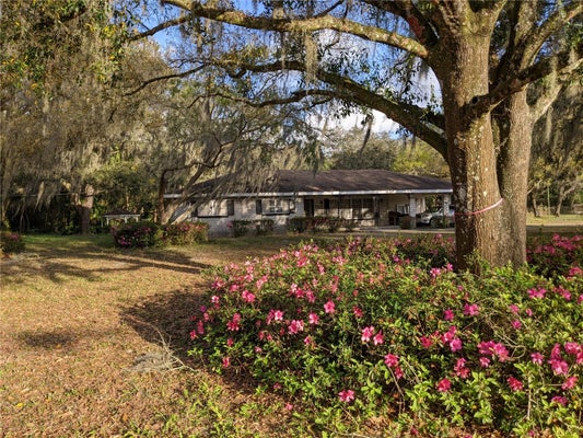 11215 DAVIS RD, TAMPA, FL 33637 - Image d8b3b809e3a5c63c8ae12aa757db8c6d/651518734