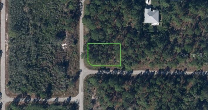 0.24 ACRES VACANT RESIDENTIAL CORNER LOT IN LAKE PLACID, FL