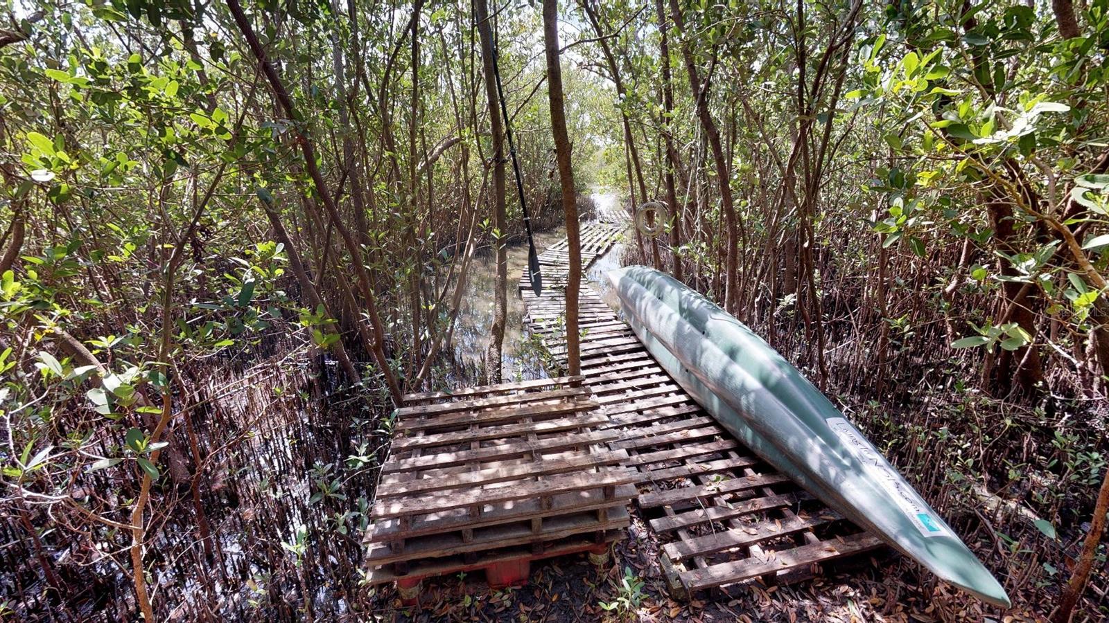 Algernon S Browns - Residential