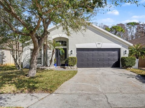 14161 PORTRUSH DRIVE ORLANDO FL 32828