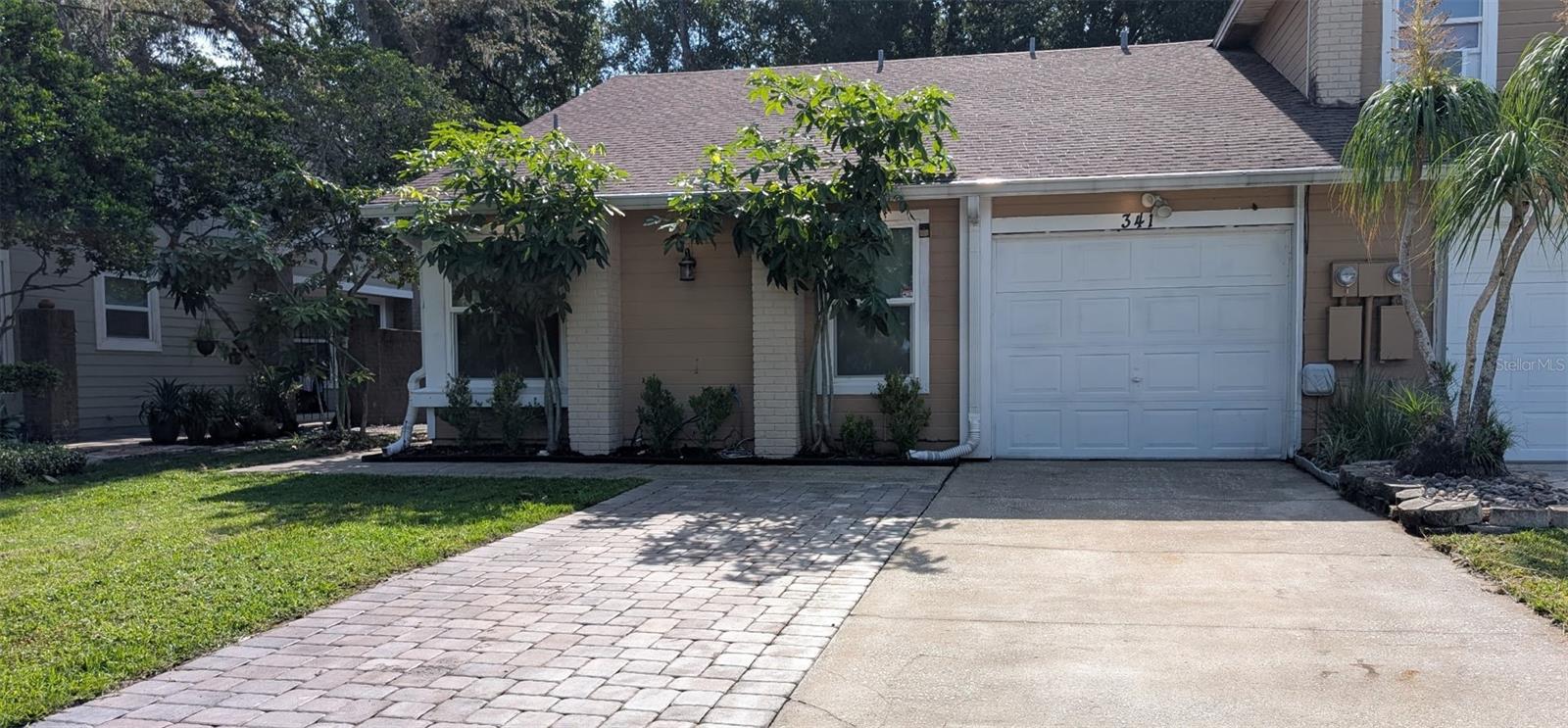 341 ALSTON DRIVE