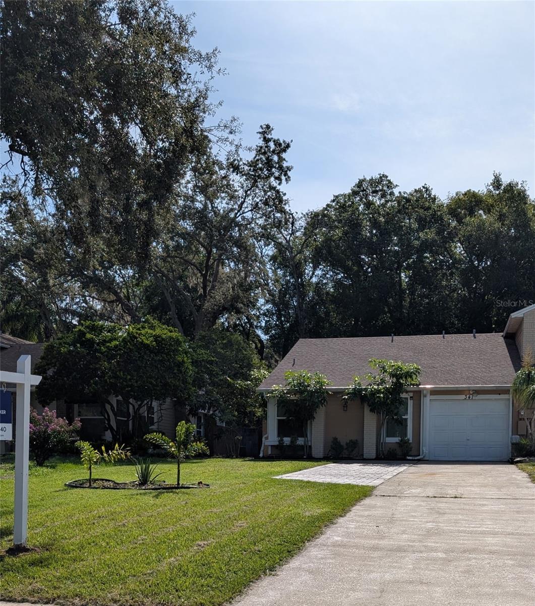 341 ALSTON DRIVE