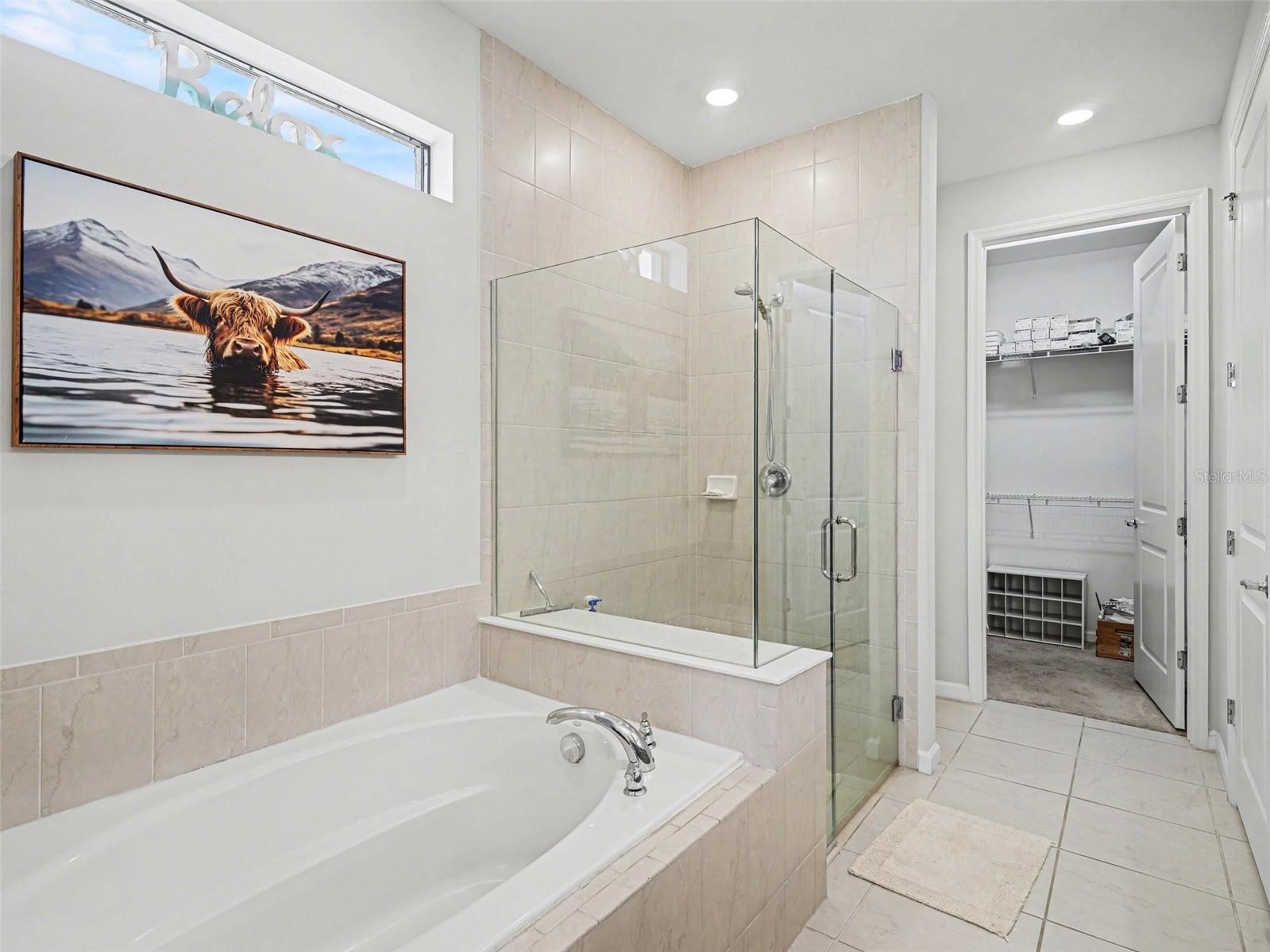 CYPRESS FALLS AT THE WOODLANDS - Residential