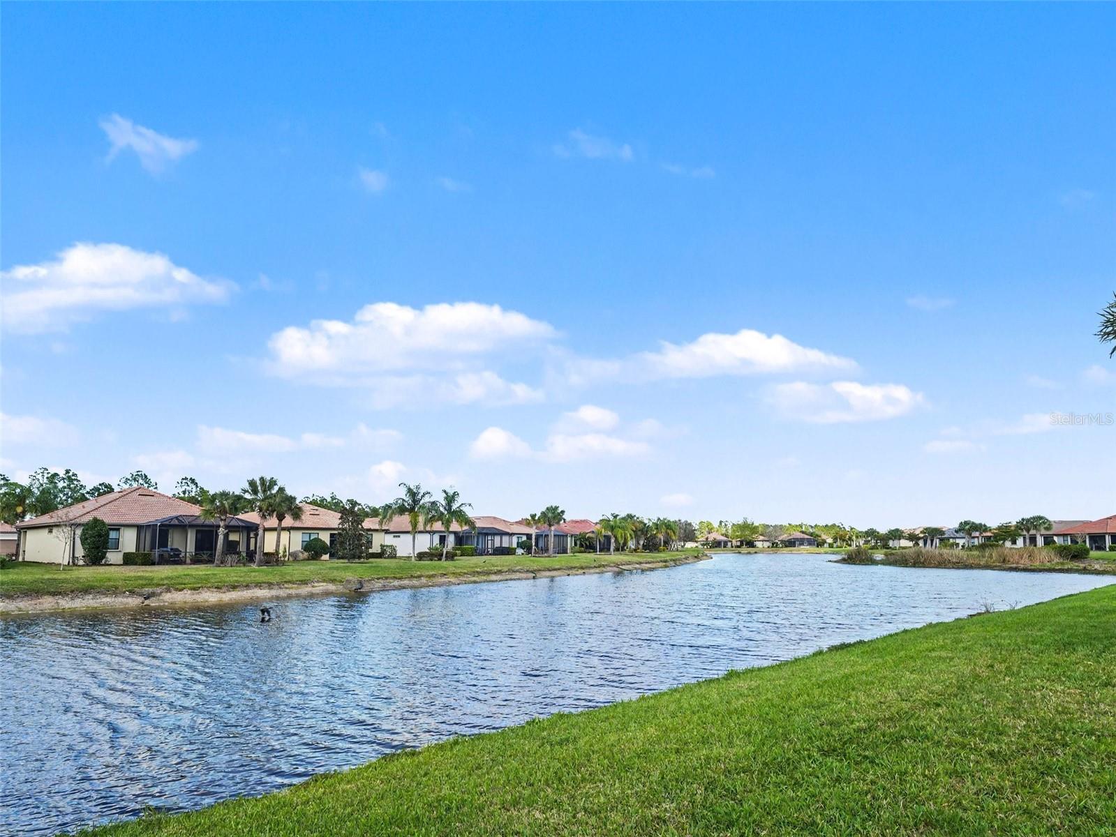 CYPRESS FALLS AT THE WOODLANDS - Residential