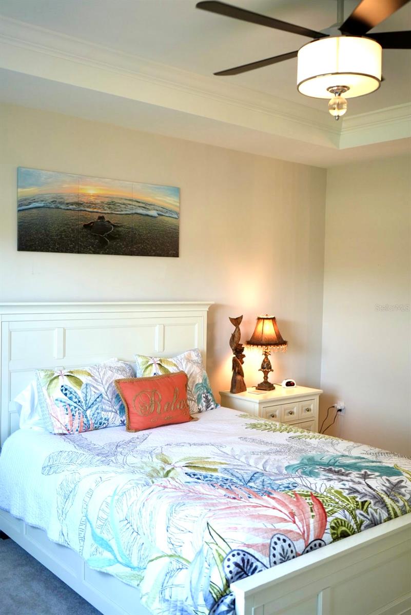 CYPRESS FALLS AT THE WOODLANDS - Residential