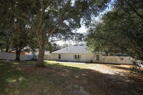 Tiny photo for 1319 Rain Forest Lane, Minneola, FL 34715 (MLS # O6369542)