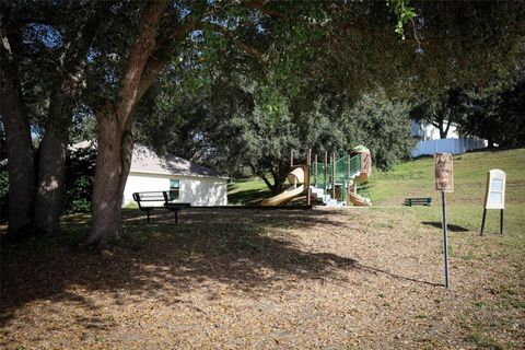 Tiny photo for 1319 Rain Forest Lane, Minneola, FL 34715 (MLS # O6369542)