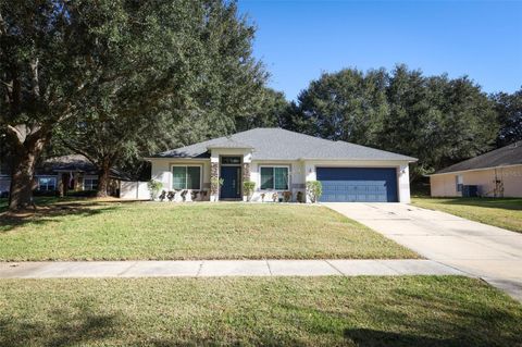 Tiny photo for 1319 Rain Forest Lane, Minneola, FL 34715 (MLS # O6369542)