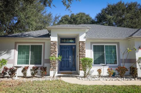 Tiny photo for 1319 Rain Forest Lane, Minneola, FL 34715 (MLS # O6369542)