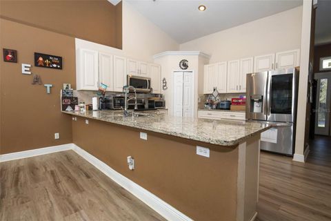 Tiny photo for 1319 Rain Forest Lane, Minneola, FL 34715 (MLS # O6369542)