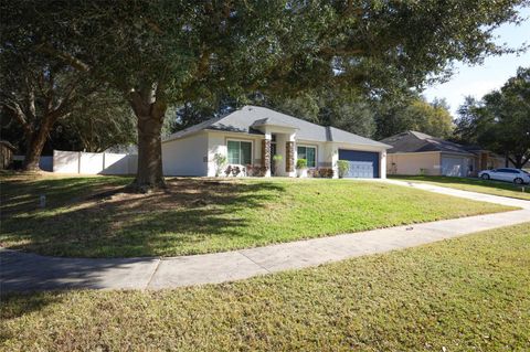 Photo of 1319 Rain Forest Lane, Minneola, FL 34715 (MLS # O6369542)