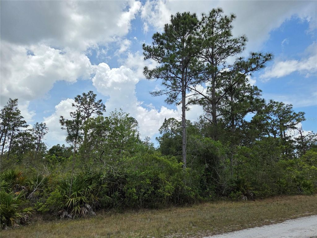 Photo of 915 Laguna Dr, Indian Lake Estates, FL 33855 (MLS # P4938813)