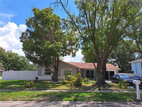 A home in TAMPA