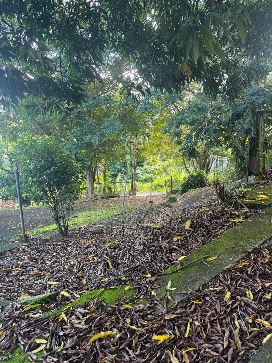 RESI BO. CAMPO RICO - Residential