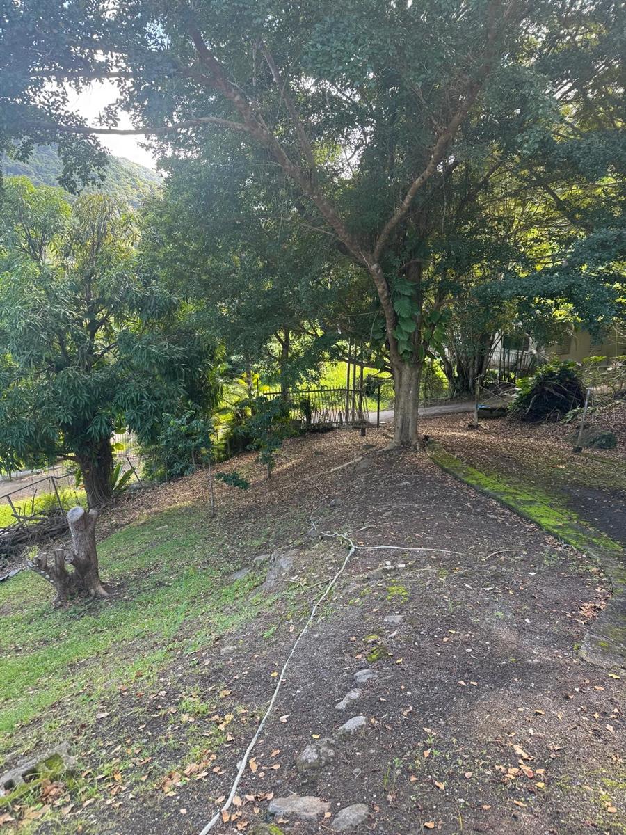 RESI BO. CAMPO RICO - Residential