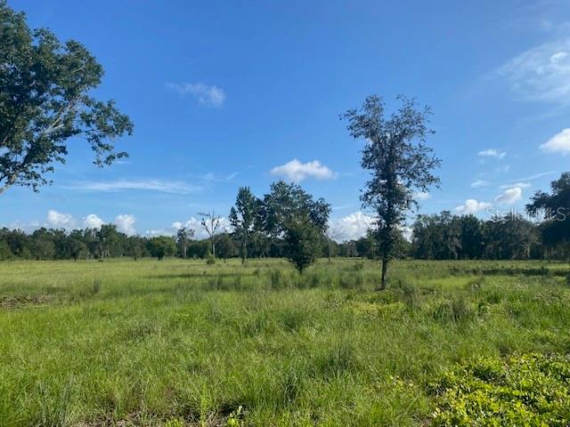 Photo of 5840 Bob Smith Avenue, Plant City, FL 33565 (MLS # TB8538997)