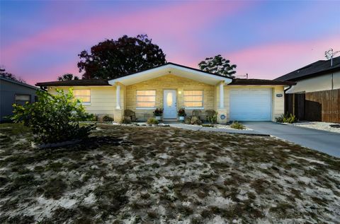 Photo of 10801 Bethel Street, Port Richey, FL 34668 (MLS # TB8451727)