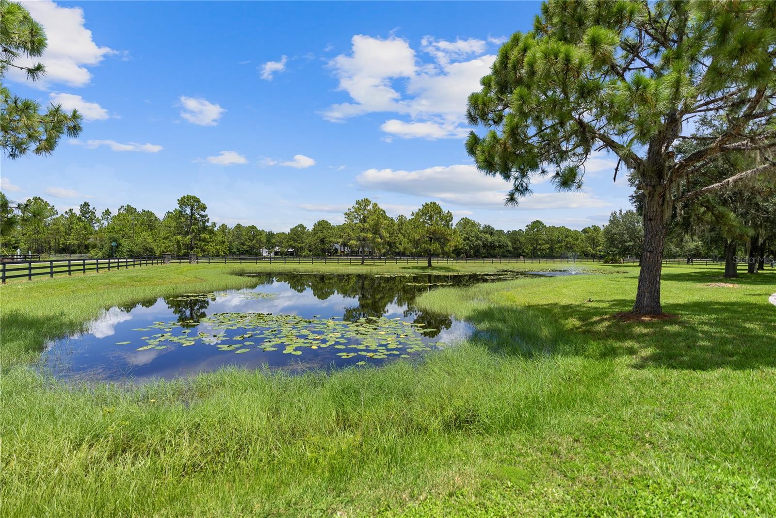 POMELLO PARK - Residential