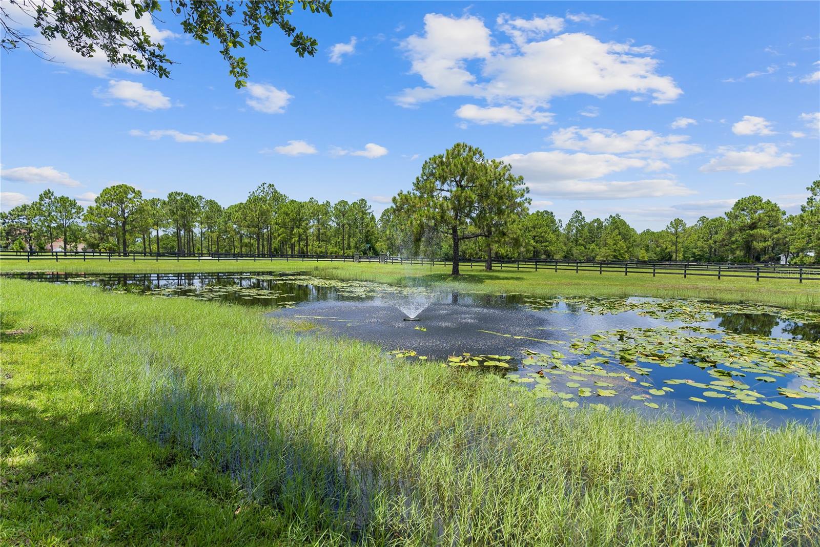 POMELLO PARK - Residential