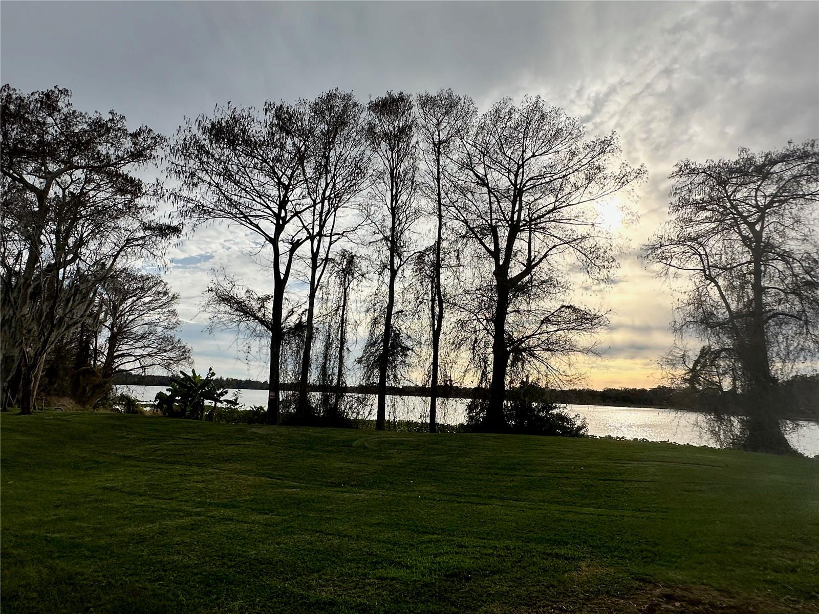 CYPRESS POINTE/LK ORLANDO - Residential