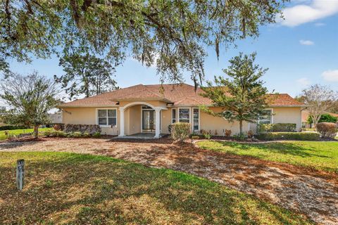 Photo of 39125 Tacoma Drive, Lady Lake, FL 32159 (MLS # G5109495)