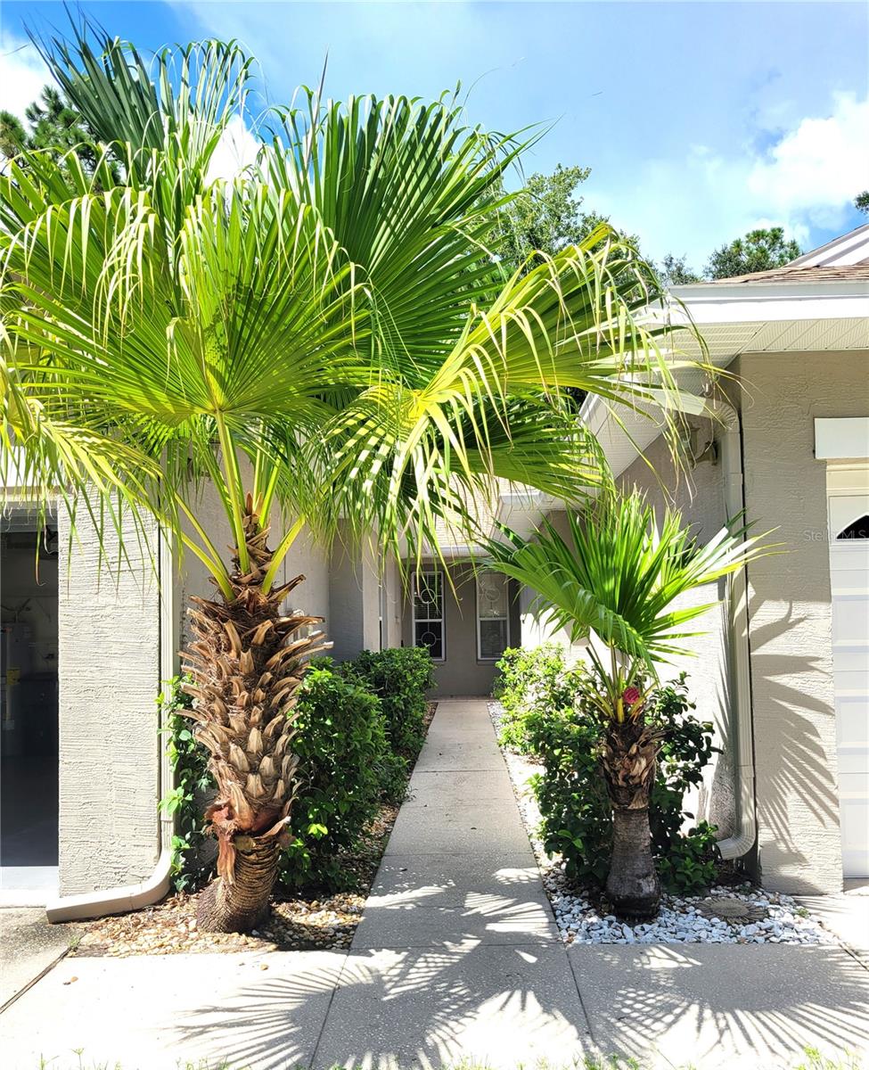Photo of 4343 Lakeshore Drive, Palm Harbor, FL 34685 (MLS # TB8551878)