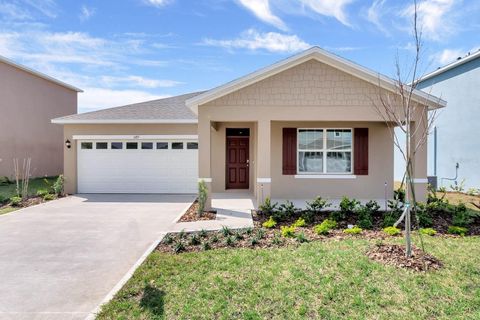 A home in MOUNT DORA