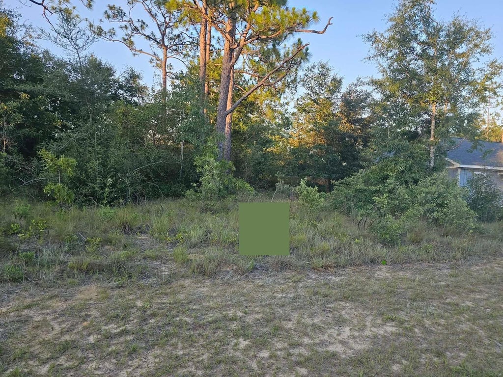 Photo of 12 Shenandoah Boulevard, Chipley, FL 32428 (MLS # TB8531501)