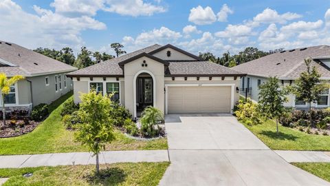 6227 GOLDEN NETTLE DRIVE APOLLO BEACH FL 33572