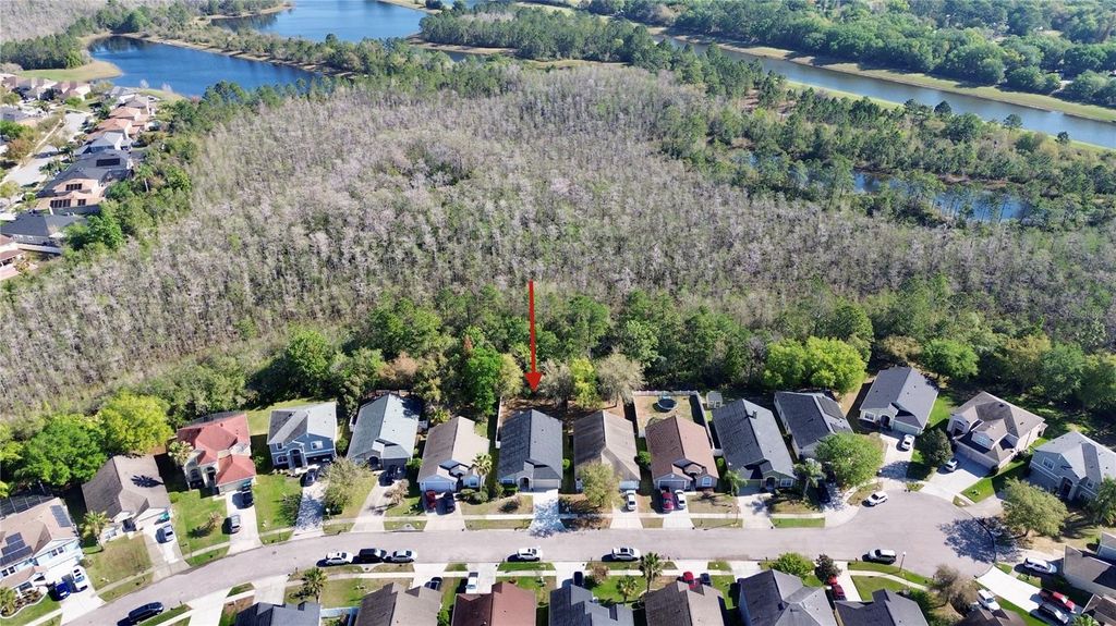 Photo of 18107 Saxony Lane, Orlando, FL 32820 (MLS # O6388083)