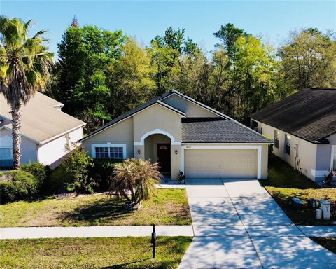 Photo of 18107 Saxony Lane, Orlando, FL 32820 (MLS # O6388083)