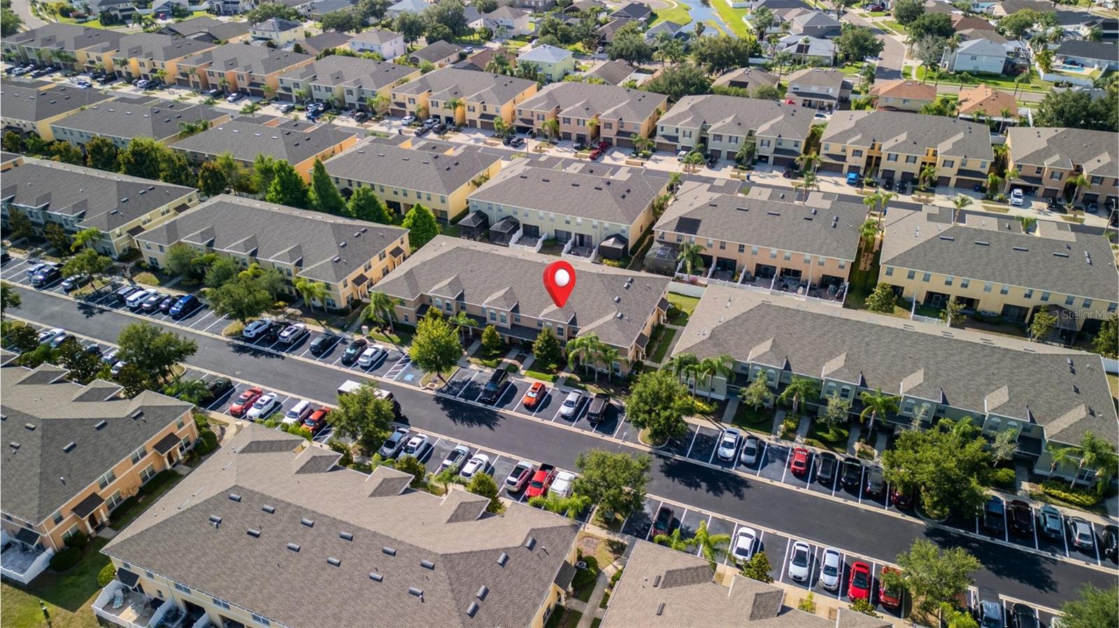 9752 TRUMPET VINE LOOP