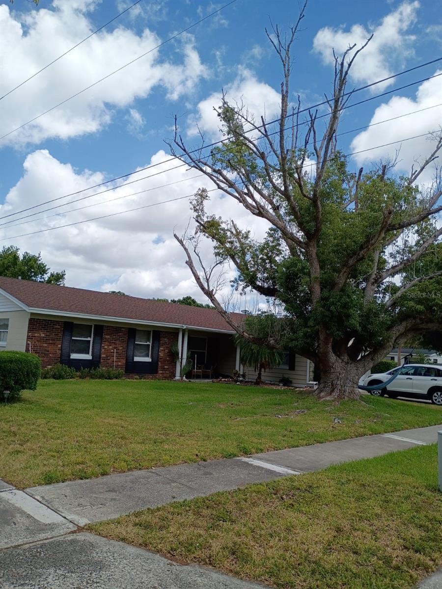 3231 LOWNDES DRIVE