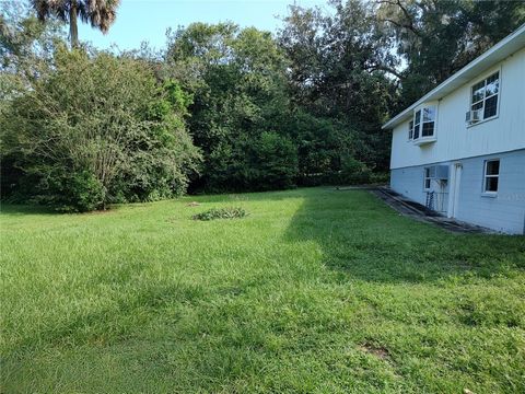 A home in MOUNT DORA